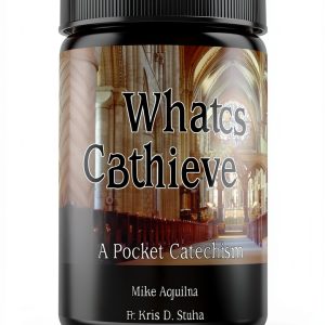 Catholic Catechism by Our Sunday Visitor Kindle Edition-0