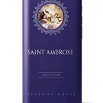 Catholic Catechism Kindle Edition by Aeterna Press 2016 Guide-0
